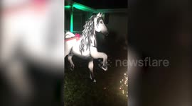 Devoted son builds his Christmas-obsessed mother a SLEIGH just two weeks before she passed away