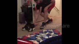 Roomba cat goes for a ride