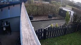 Hilarious moment bird caught playing with camera in Denmark