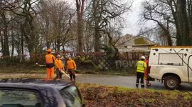 High winds hit UK's Devon, taking down trees and power lines