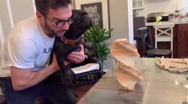 Dad tries building blocks with kids. Big mistake! 
