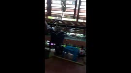 Cute Cat Swings In Plastic Bucket