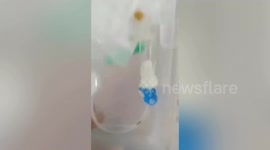 Chinese father finds tiny insect in his son's IV drip
