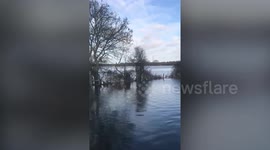 Sheepdogs swim through floodwater to round up 80 sheep in danger of drowning