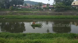 2 cows relaxing on the island in the middle of the river in the desert
