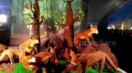 Annual cake show in India boasts spectacular baked King Kong and St Basil's Cathedral displays