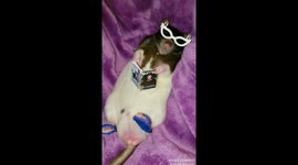 Frattie Mercury relaxing with a magazine