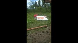 My 4 year old Friend Marvin Volunter to paint plywood in our backyard for duck raising