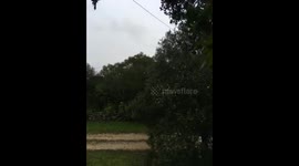 Strong wind Elsa storm