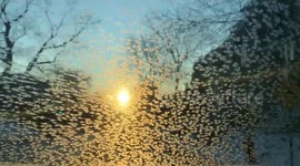 Beautiful crystals on windshield