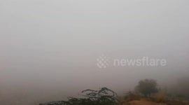 Foggy Morning of winter