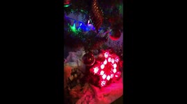 When you don't find your tree-topper anymore