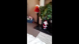 Butch the Jack Russell Puppys first christmas experience with singing and dancing tree