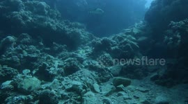 Italian Tourist Journey Underwater -Diving Experience In 3 pools Dahab Egypt
