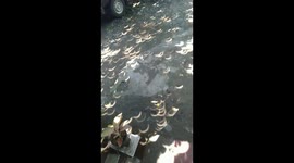 the shadow of a solar eclipse looks beautiful on the city land of 