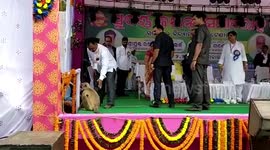 Hilarious moment monkey is guest star at high school celebration in India