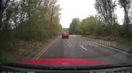 Horse and carts 2 abreast almost hit by a scooter in front of a learner driver