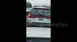 Strange car full of ducks in Portland on Christmas Eve