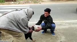 Locals save stray dog with head stuck in plastic tub