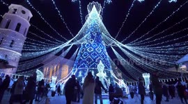 Christmas Tree in Lithuania voted 