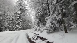 Driving in an Italian winter wonderland