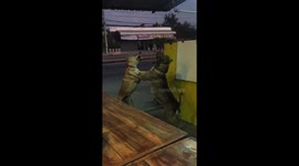 Dogs Fight But They Walk Away As Best Of Friends