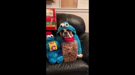 When your New Years resolution to lay off the cookies doesn’t look promising.