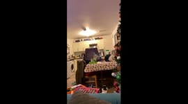 Cat too tired to sit up