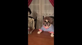 When your New Year’s resolution is to find friends that lead a healthy lifestyle.