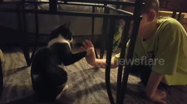 Cool cat gives high fives and hand shakes to boy in Cincinnati