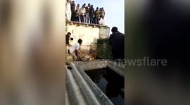 Harrowing scene as lion cub rescued from 40-foot-deep well by Indian forest workers