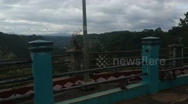 the moment the monkey farted