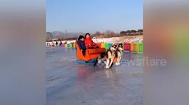 Electric 'dog' sled with fake Alaskan Malamutes spotted in China