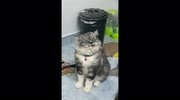 temp