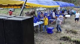 Wild baby elephant sparks panic after rampaging through music festival