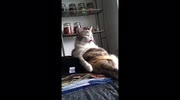 temp