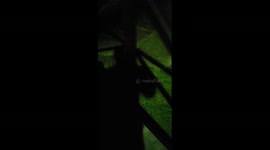 Coming home after a Long Day's Work