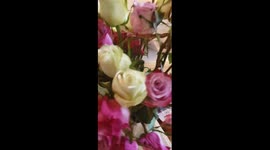 Nothing like mom's cooking