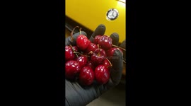 Cherries