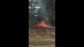 Roadside fire