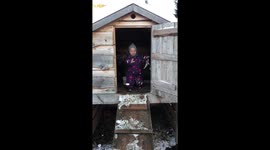 Todller feeding baby goats