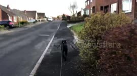 I can carry my own toys