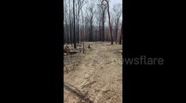 Newsflare Edit - 2 months after...