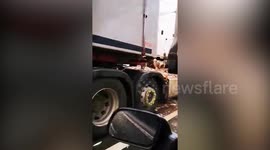 Video shows thousands of fish that spilled onto road closing dual carriageway for three hours