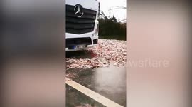 UK highway shut for three hours after thousands of fish spilt across road