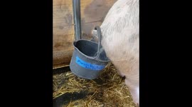 Not just a drop in the bucket!