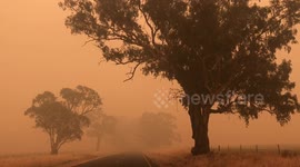 Australia Burns - smoke from the Dunn’s Road Riverina Fire NSW