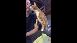 All this feline named Catt Damon wants in life is French fries