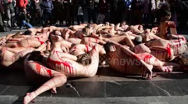 AnimaNaturalis organizes 