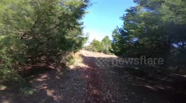 Dramatic moment leaping deer knocks down dirt bike rider during endurance race